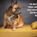 Best Dog Bed For French Bulldog