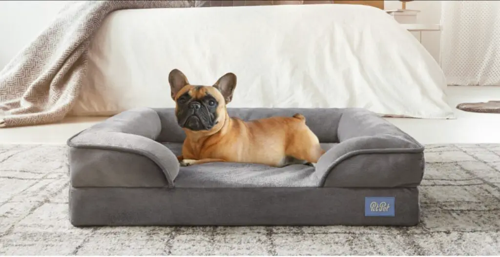 best dog bed for french bulldog